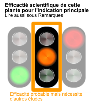 efficacite-plante-medicinale-prouvee-orange