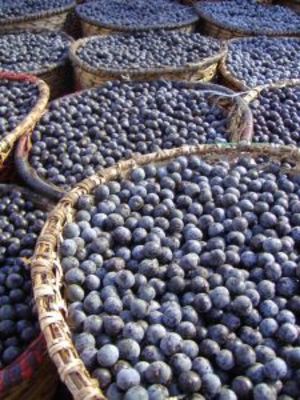 acai-cholestérol (contre le LDL)