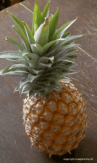 Ananas - Anti-cellulite, protéolytique, antiphlogistique