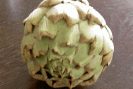 artichaut hépatite phytothérapie