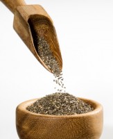chia - Salvia hispanica