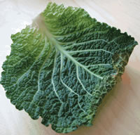 Chou - Plante médicinale