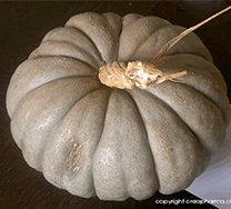courge
