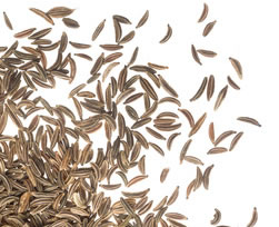 Cumin - en cas de troubles digestifs