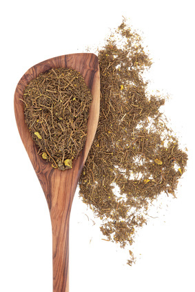 Goldenseal Root-hydraste-canada-Fotolia_61244057_XS