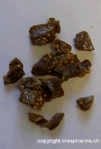Figue - en cas de constipation (légère)