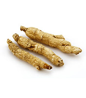 Ginseng