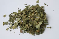 Tisane d'hamamélis - remèdes de grand-mère