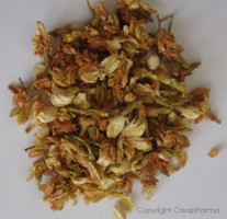 Jasmin - contre le stress, insomnie