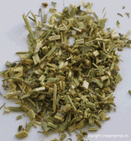 Tisane de mélilot ingrédients