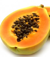 Papaye - Carica papaya