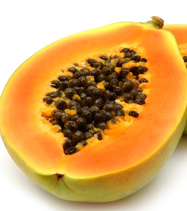 Papaye - Carica papaya
