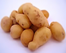 Pomme de terre - Plante médicinale