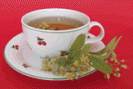 Tilleul - Tisane de tilleul