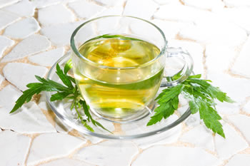 Tisane de verveine odorante posologie