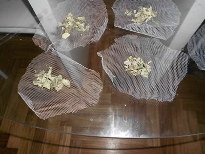5-melisse-tisane-preparation