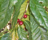 DSCN0161