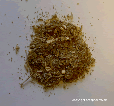 Tisane d'absinthe (infusion d'absinthe)