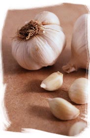 ail - Recette contre les panaris