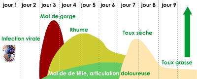 Refroidissement: symptômes & traitements | Creapharma