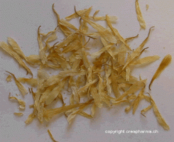 Calendula fleur séchée
