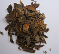 décotion cascara