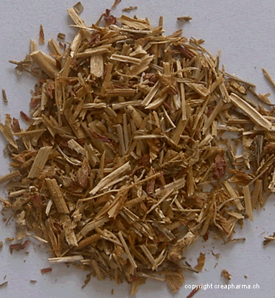 Tisane de centaurée (infusion de centaurée)