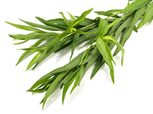 Tisane d'estragon