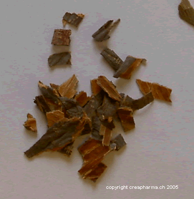 Tisane de bourdaine - constipation