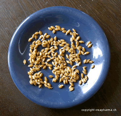 Zinc aliments