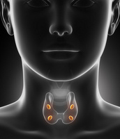 iode - hyperthyroidie glande hormones