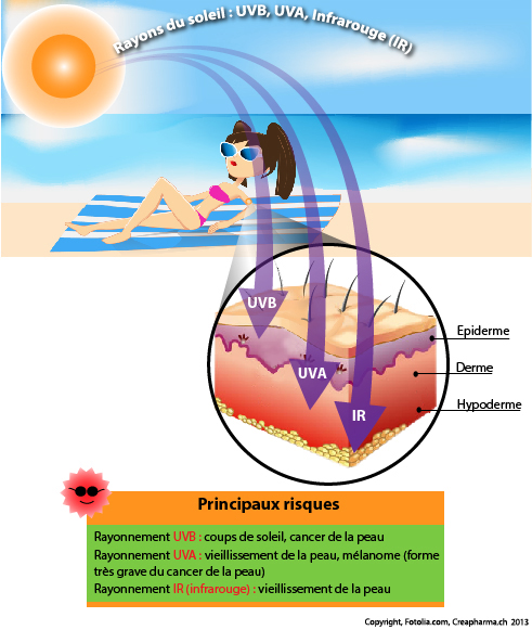 Allergie au soleil : symptômes & traitements | Creapharma