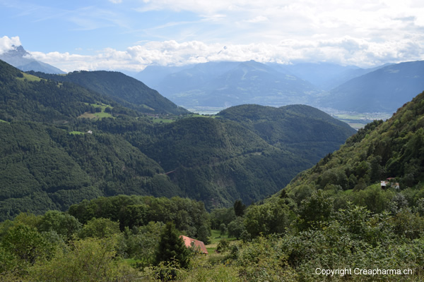jardin-botanique-leysin-sept-2015