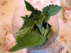 Soupe d'ortie