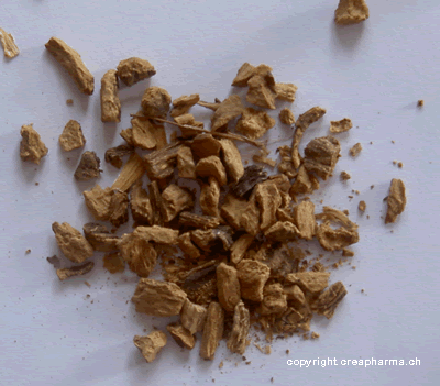 Tisane de gentiane jaune (infusion de gentiane)
