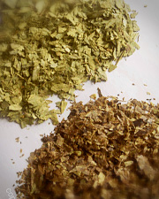 Tisane de séné