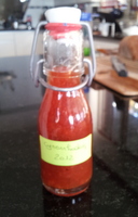 Sirop de cynorhodon - Sirop d'églantier
