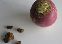 Sirop de navet