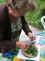Préparation soupe d'ortie