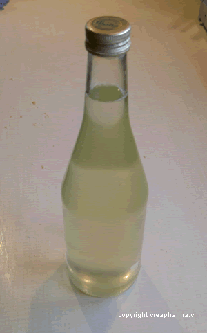 Sirop de sureau