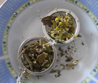 tisane calmante plantes