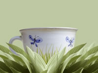 Tisane de sauge recette