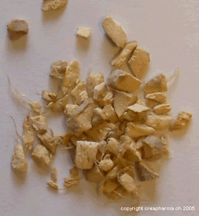 Gingembre - remèdes de grand-mère