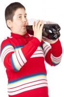 graisse et cholestérol