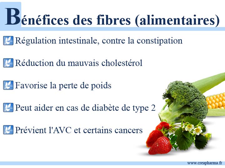 Les fibres alimentaires protègent contre l'obésité et le syndrome  métabolique