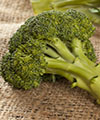 brocoli résumé