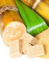 Nutrition canne à sucre