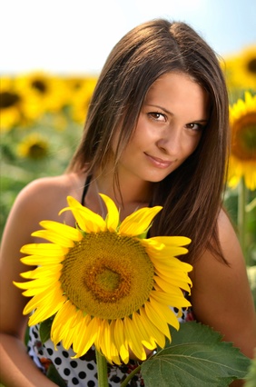 tournesol