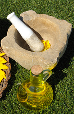 tournesol