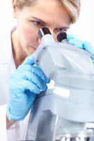 Obésité et flore intestinale : le lien se précise